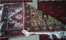 اشتیاق عرب های حاشیه خلیج فارس به فرش «دو روی دیدوخ» / رنجبره تولید فرش در خراسان شمالی وجود ندارد