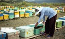 شتاب قطار اشتغالزایی بنیاد برکت در روستاهای خراسان شمالی
