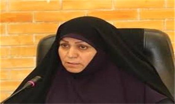 جرای طرح "جهش حرکت" در استان کرمان با تکیه بر مشاغل خرد و خانگی