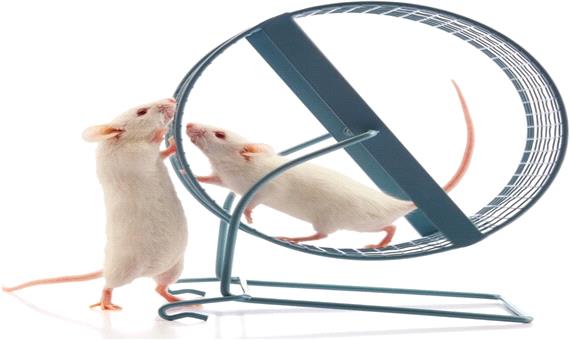 تاثیر ورزش در کاهش مشکلات ناشی از ریزگردها