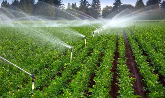 آبیاری نوین راهکاری برای غلبه بر بحران کم آبی