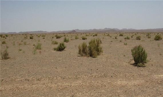 طرح ترسیب کربن در 8 روستای نهبندان در دست اجرا است
