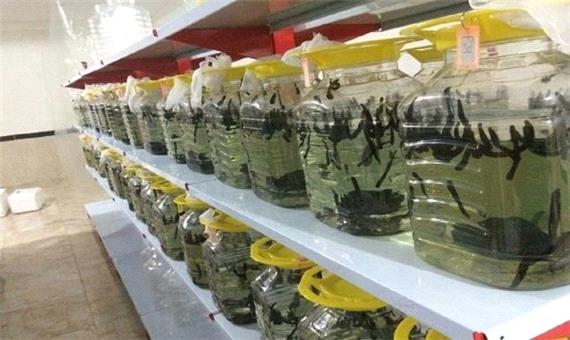 پساب زالو؛ از کشاورزی تا گل فروشی