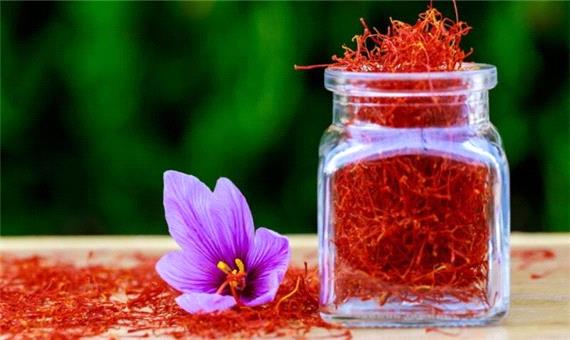 طلای سرخ ایران در تکاپوی جهانی شدن/ خراسان رضوی و تولید 76 درصد زعفران کشور