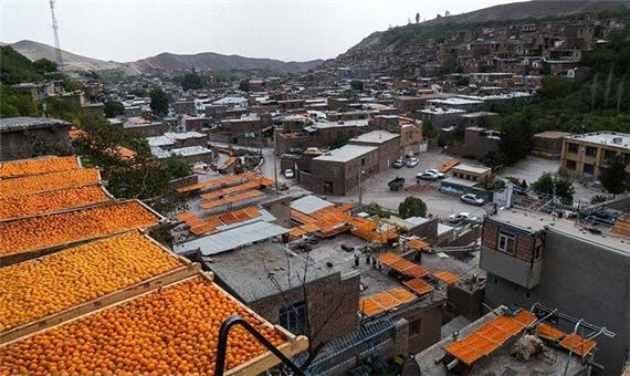 شهر آلوی ایران ناتوان در برندسازی