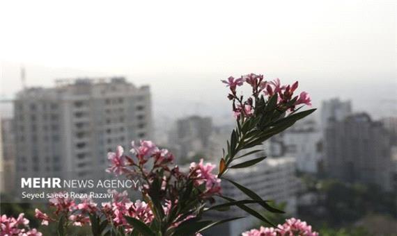 خراسان شمالی 48 روز هوای پاک را تجربه کرده است