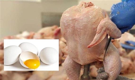چالش در بازار مرغ و تخم‌مرغ‌ خراسان جنوبی پذیرفتنی نیست