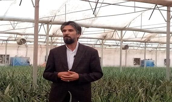 اراضی کشاورزی خراسان جنوبی سنددار می‌شود