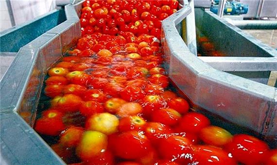 80 درصد مکانهای استقرار صنایع تبدیلی خراسان رضوی اجاره‌ای است