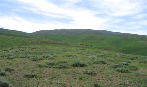 چتر حیات زمین در معرض نابودی