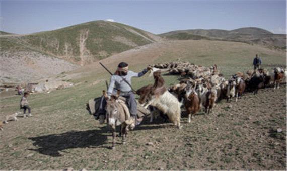 13 میلیارد تومان اعتبار به امور عشایر خراسان‌شمالی تخصیص یافت