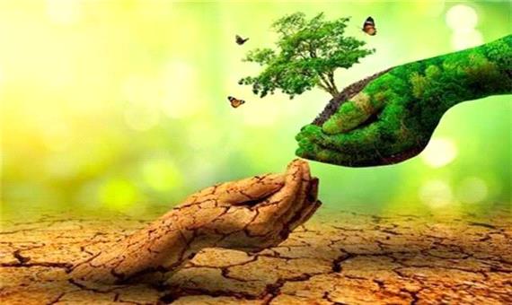 چگونه با آب شور درخت و جنگل بکاریم؟!/ مزایای شگفت‌انگیز فناوری شورورزی از مبارزه با ریزگردها تا پرورش آبزیان