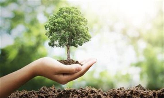 کاشت درخت، تلاش برای رهایی از تنگی نفَس