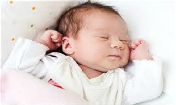 خراسان جنوبی پیشتاز در موالید