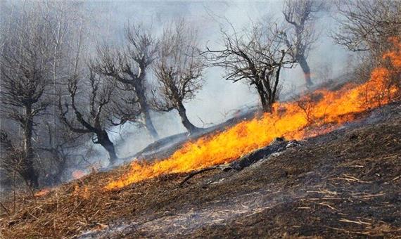 265هکتار از مراتع و جنگلهای آذربایجان غربی در آتش سوخت