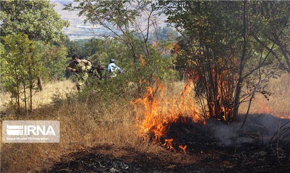 آتش‌سوزی در طبیعت خراسان رضوی 70 درصد کاهش یافت