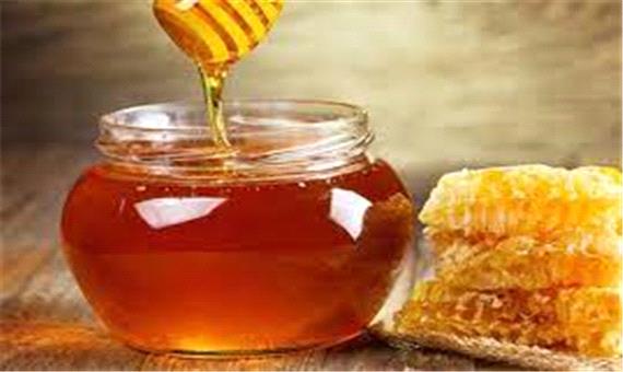 صادرات عسل از طرقبه_شاندیز به بحرین