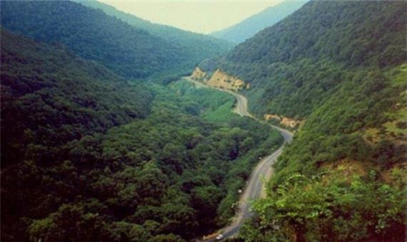 جنگل‌های کلیبر ظرفیتی بی‌نظیر برای توسعه گردشگری منطقه است