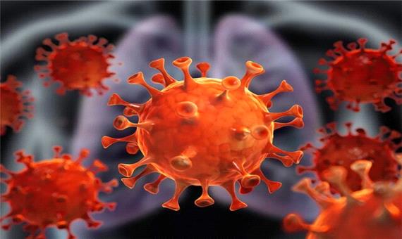 از پیش بینی افزایش آنفلوآنزا در زمستان تا روزهای طلایی کرونا