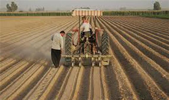 اجرای طرح زارع به زارع برای رفع نیاز بذور کشاورزان خراسان شمالی