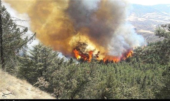 جنگل‌های استان گلستان بی‌دفاع در برابر آتش هستند