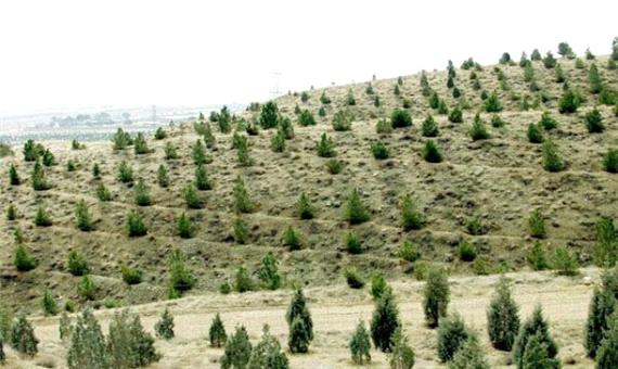 طرح توسعه جنگل در 1750 هکتار از اراضی اصفهان اجرا می‌شود