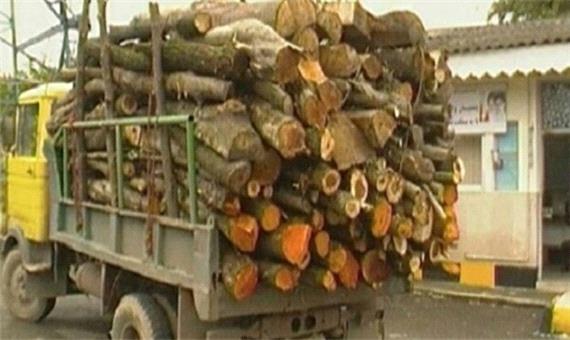 حمل چوب بدون مجوز از زیرکوه؛ ممنوع /کشاورزان مراقب دلالان باشند