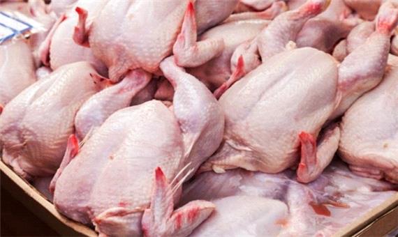 توزیع روزانه حدود 300 تن مرغ گرم در خراسان رضوی
