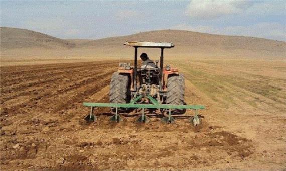 بیش از 39 هزار هکتار اراضی خراسان جنوبی زیر کشت غلات رفت