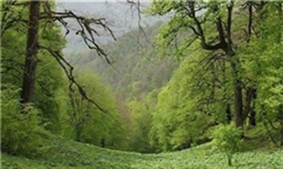 افزایش ضریب حفاظتی جنگل و مراتع در خراسان شمالی