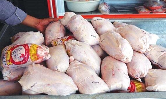 توزیع بیش از 950 تن مرغ منجمد و گرم در مشهد