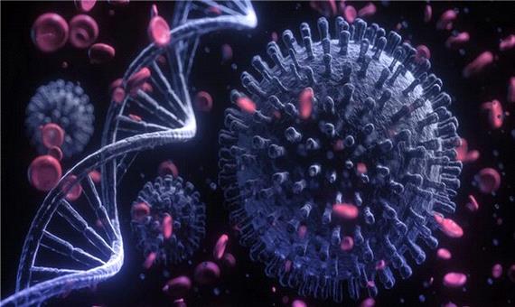 کشف سویه بسیار قوی از ویروس کرونا در استرالیا