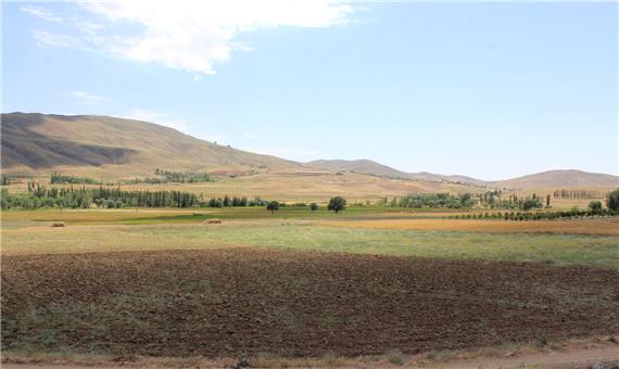 خشکسالی حدود 3 هزار هکتار گندمزار خراسان شمالی را غیرقابل برداشت کرد