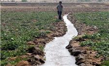 خشکسالی، دست کشاورزی سرخس را از آب سد دوستی کوتاه کرد