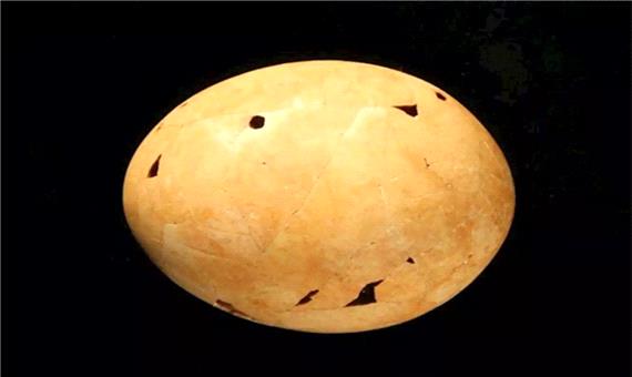 کشف معمای تخم های غول پیکر باستانی پس از 40 سال!/ تصاویر