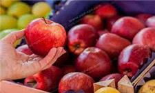 برداشت میوه‌های هسته‌دار در خراسان‌شمالی 41 درصد افزایش یافت