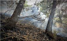 آتش‌سوزی مراتع و جنگل ها در کردستان 80درصد کاهش یافته است