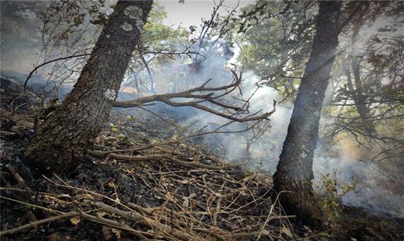 آتش‌سوزی مراتع و جنگل ها در کردستان 80درصد کاهش یافته است