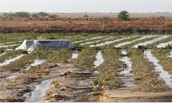 خسارت بیش از یک هزار میلیاردی بارندگی‌های سیل آسا در گچساران