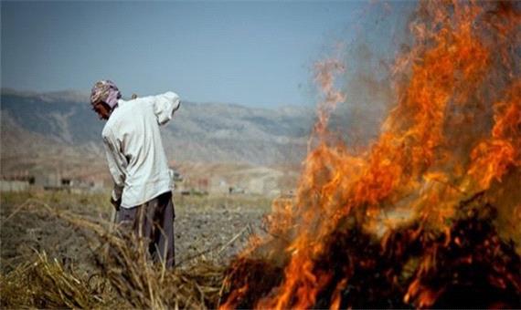 کشاورزان پس از برداشت محصول از آتش زدن مزارع خودداری کنند