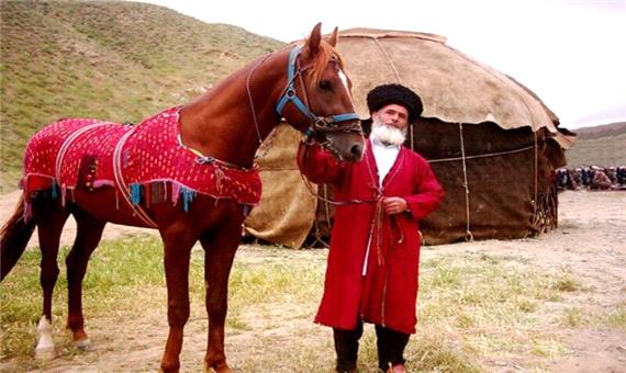 صنعت پرورش اسب ترکمن خراسان شمالی در مسیر رونق اقتصادی