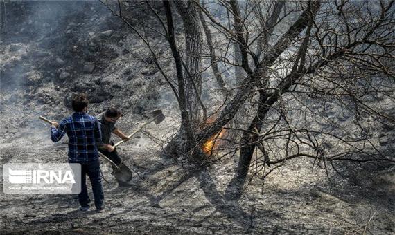 آتش سوزی جنگل‌های منطقه سنگده ساری با سوختن حدود 2 هکتار مهار شد