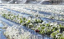 سرما 2.8 هزار میلیارد ریال به کشاورزی جوین خراسان رضوی خسارت زد