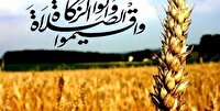 جمع آوری ۲۲۳ میلیارد ریال زکات درخراسان شمالی