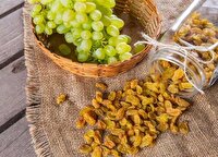 ممنوعیت استفاده از کربنات پتاسیم در تولید کشمش در کاشمر