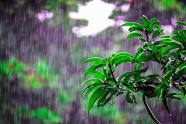 بارش باران در خراسان شمالی