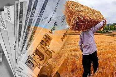 پرداخت ۷۵ درصد از مطالبات گندمکاران خراسان شمالی