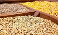 تامین 18 هزار تن نهاده دامی در خراسان شمالی