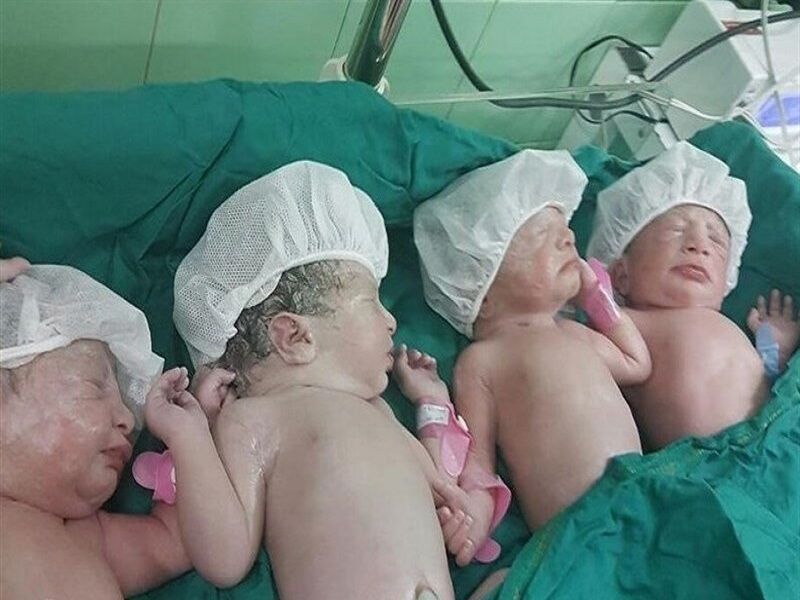 ثبت ۵۴۳ مورد چند قلوزایی در خراسان رضوی