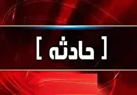 تلف شدن  19 رأس دام در یک سانحه رانندگی